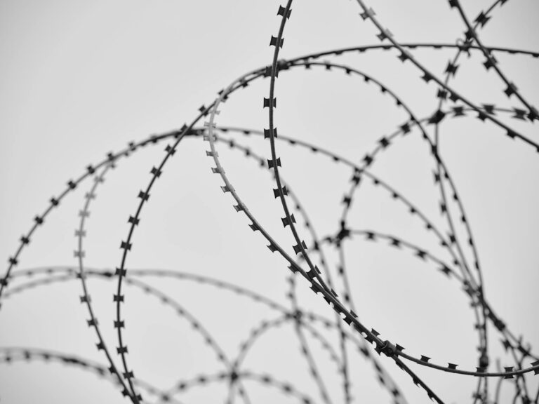 Close Up Photo of Barbed Wire