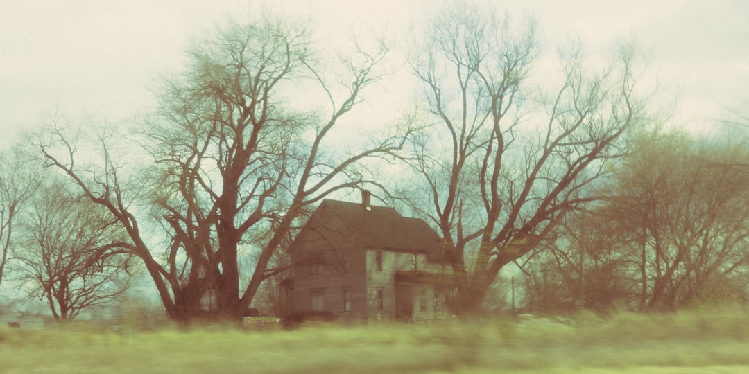 Photo Haunted house