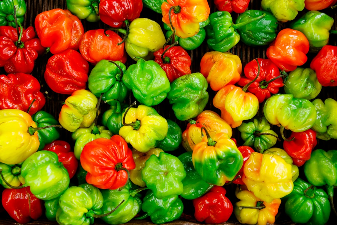 Photo Fresh vegetables